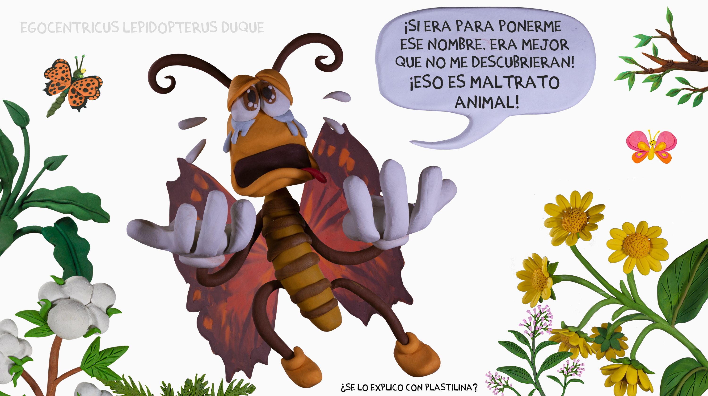 cambio_5_3.jpg