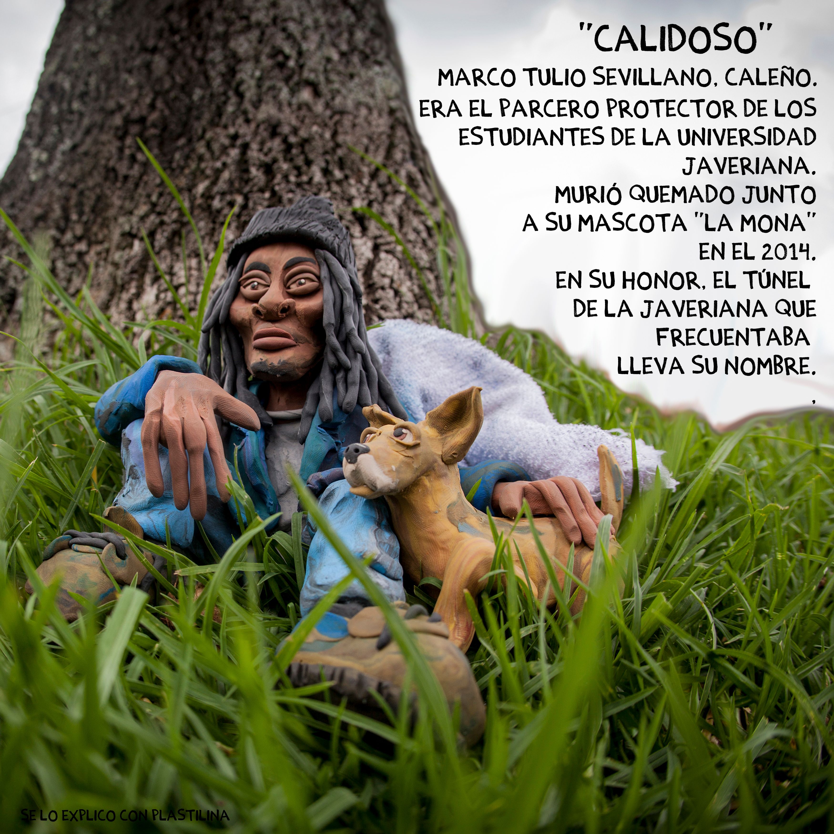 calidoso.jpg