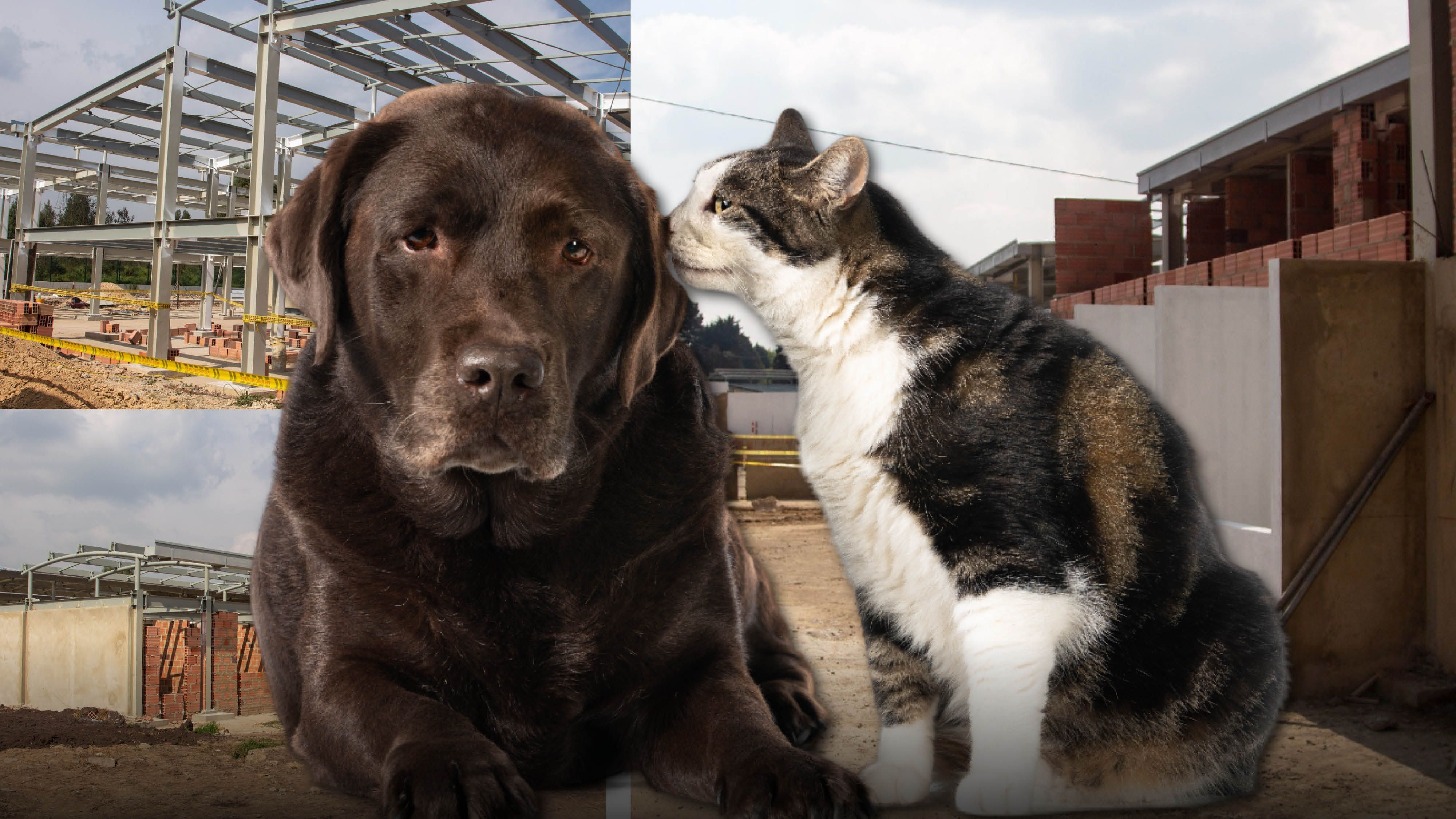 photologuephotos2023-02casa-ecologica-animalesjpg