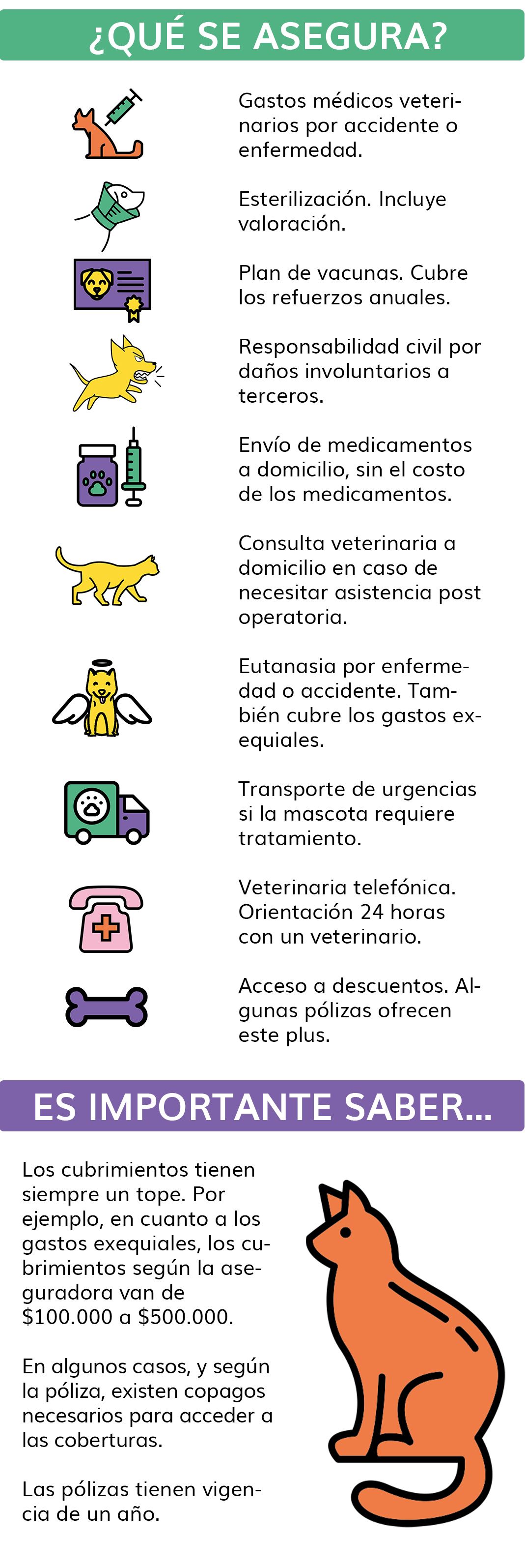 mascota1_0.jpg
