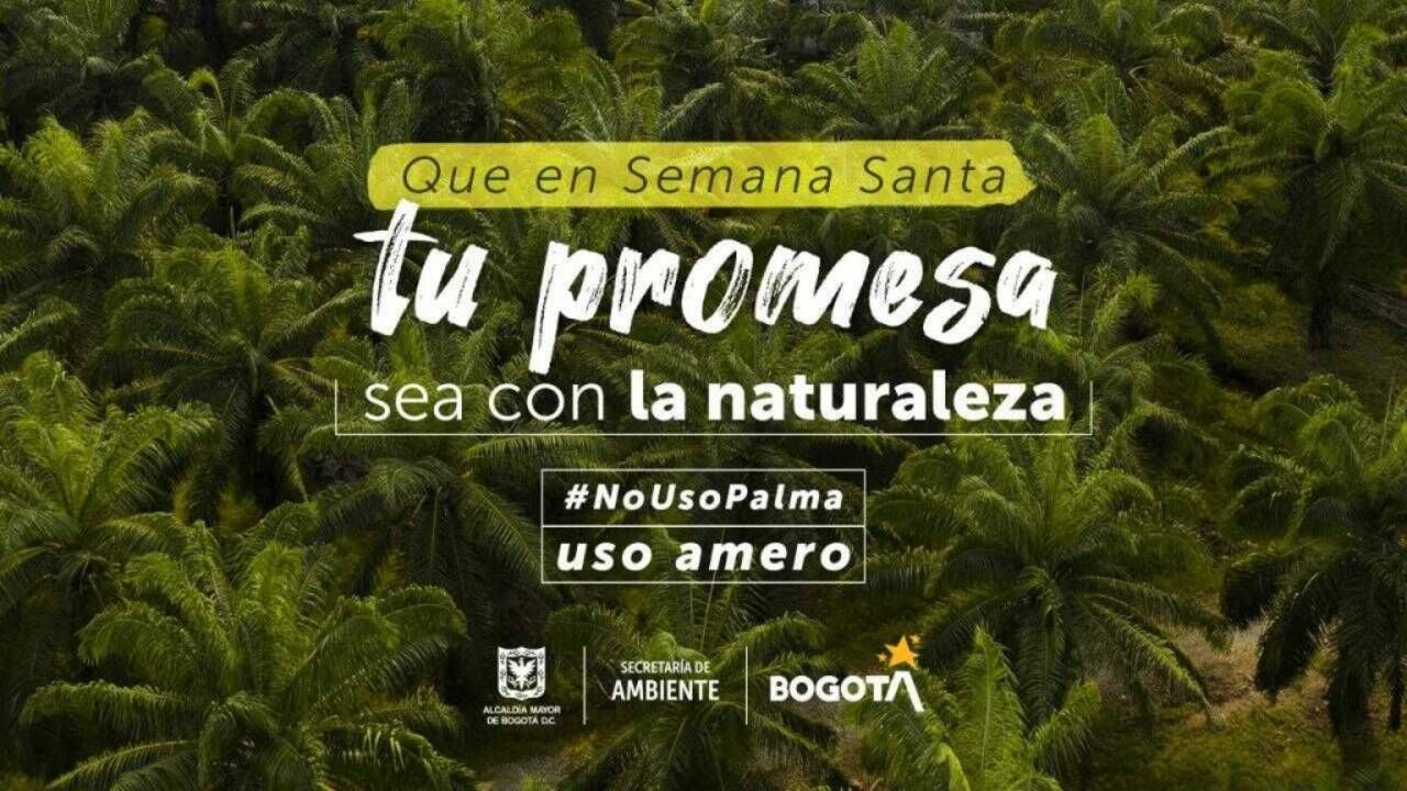 proyecto_nuevo_38_1.jpg