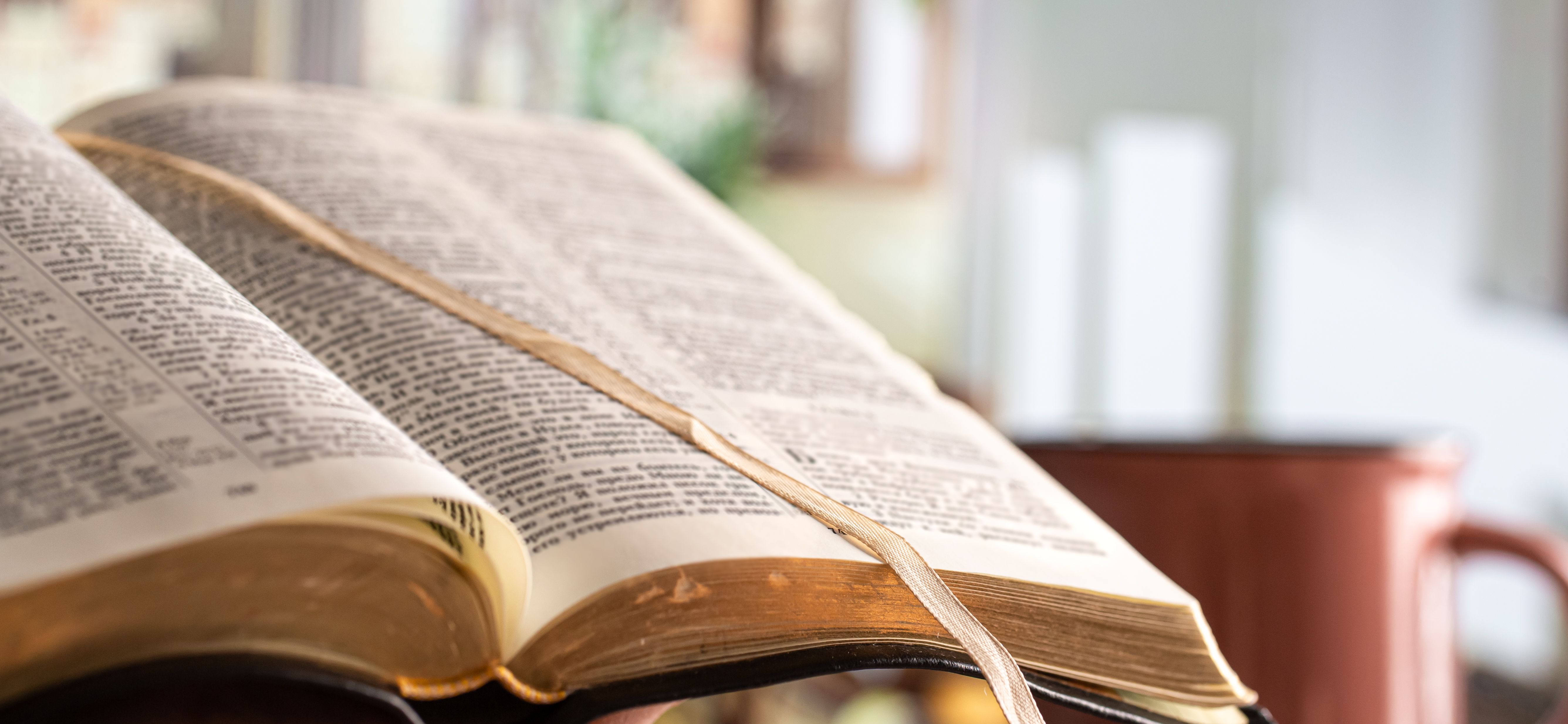 book-bible-close-up-beautiful-terrace-morning-time-space-text.jpg