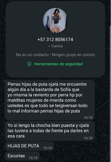 chat5.jpg