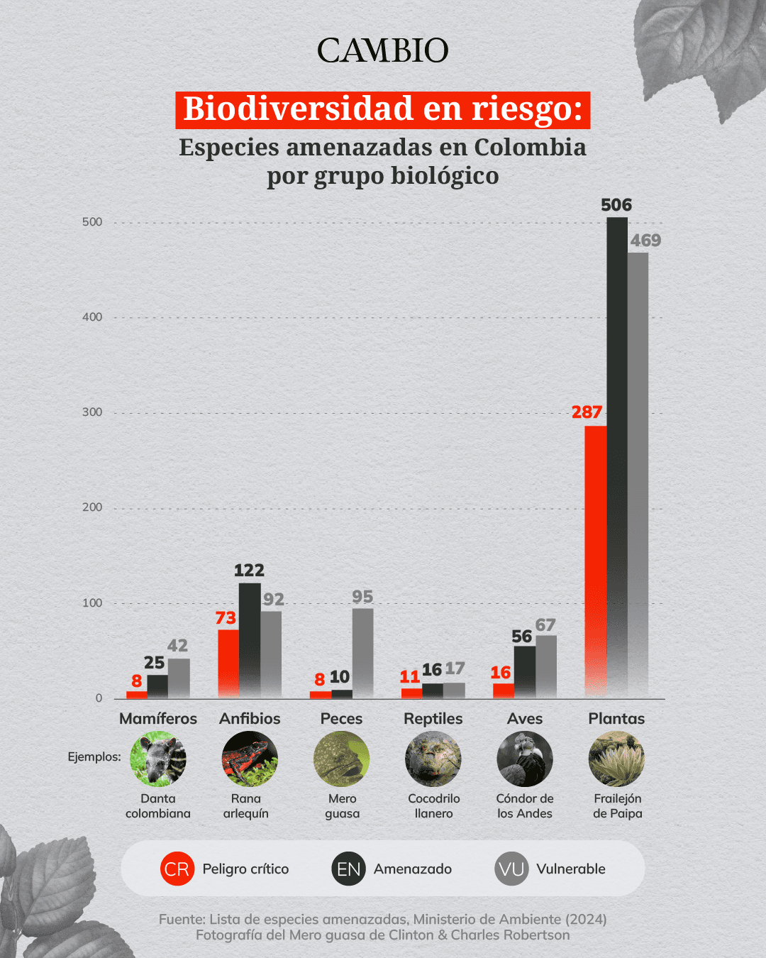 Pérdida de biodiversidad en Colombia