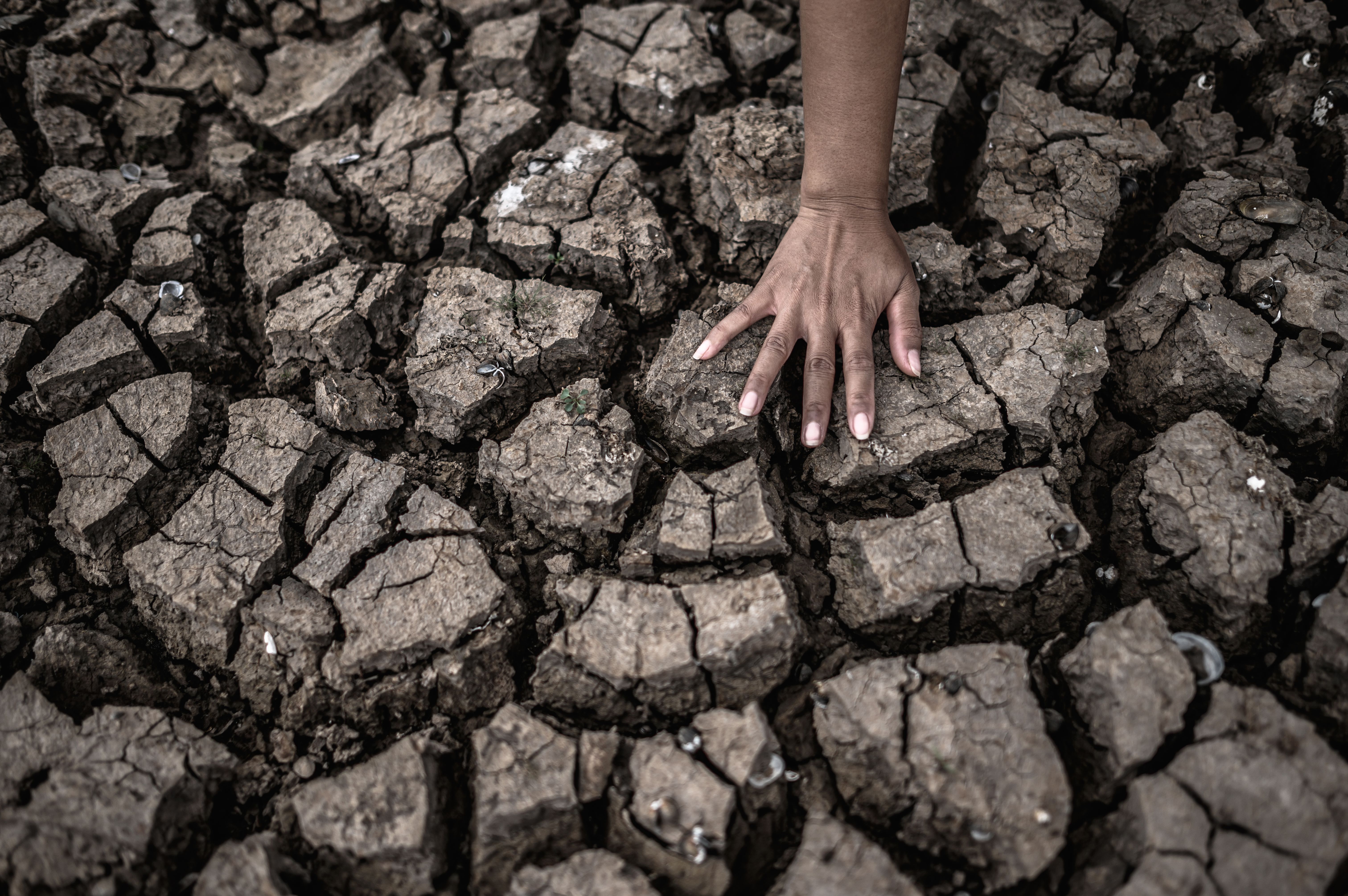 hands-dry-ground-global-warming-water-crisis (1).jpg